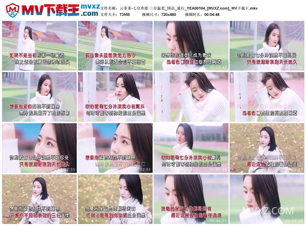 云菲菲-七分冷漠 三分温柔_国语_流行_YEA00104